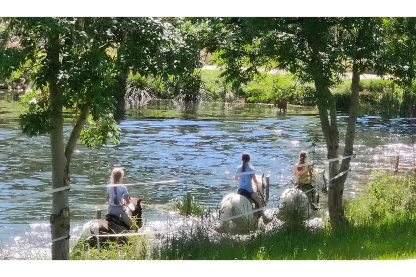 TH3 1P 40€(5) Schulz - foto 13