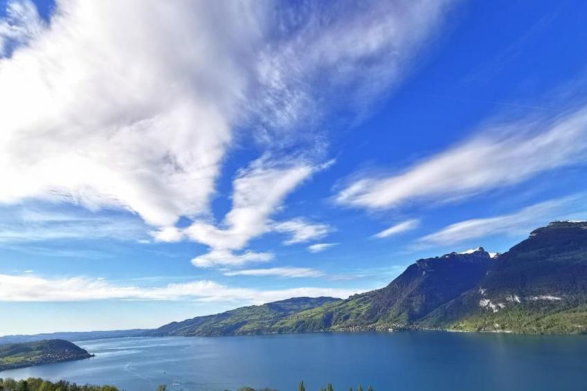 Traumblick Krattigen - foto 31