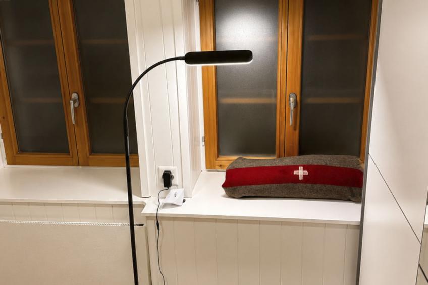 Alte Gemeindestube 2. OG Ost Appartement/Fewo, Dusche oder Bad, WC - foto 4