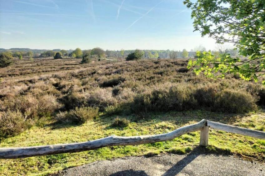 Park Haarle - foto 27