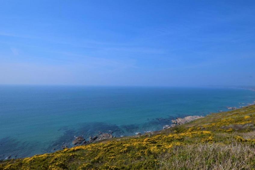One The Green, Kingsand - foto 20