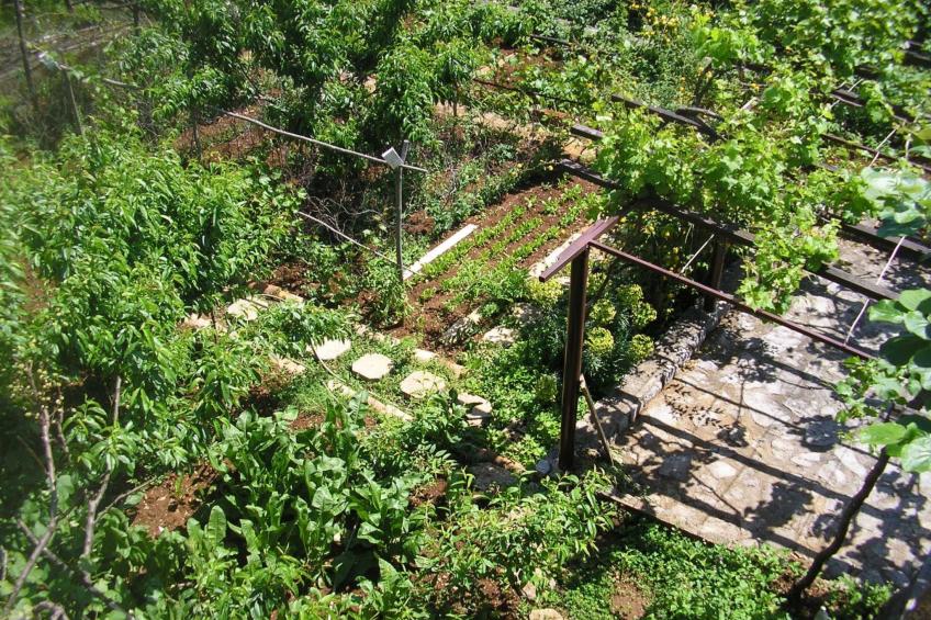 mit Balkon und Terrasse - foto 31