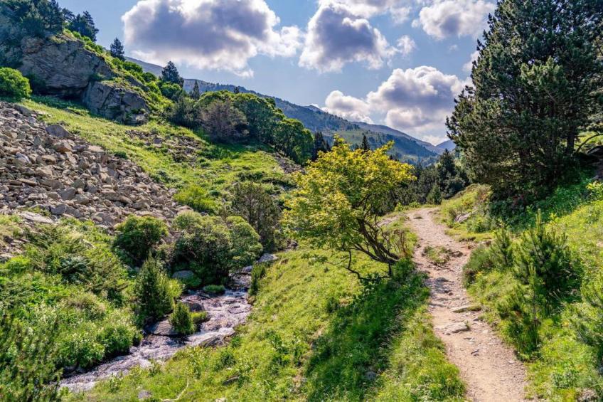 L'Espinet 5 - foto 25