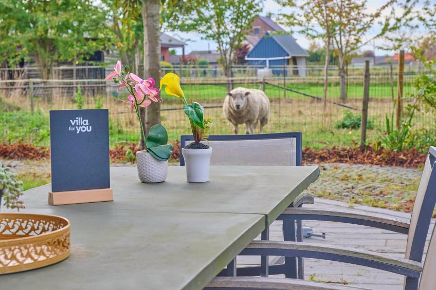 Quanto A  B - foto 83