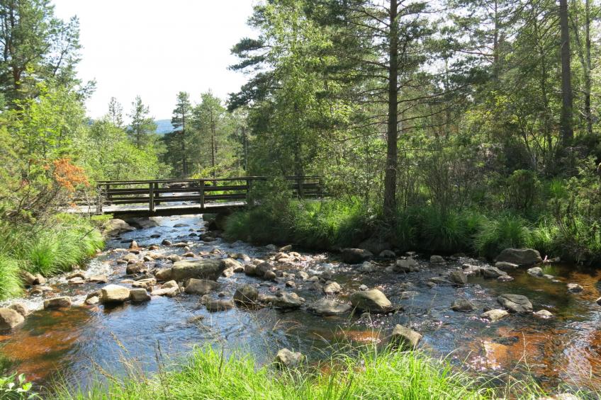 Berthabu (SOW116) - foto 5