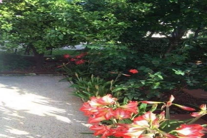 Apartments Villa Tanja - Two Bedroom Apartment with Terrace - foto 13