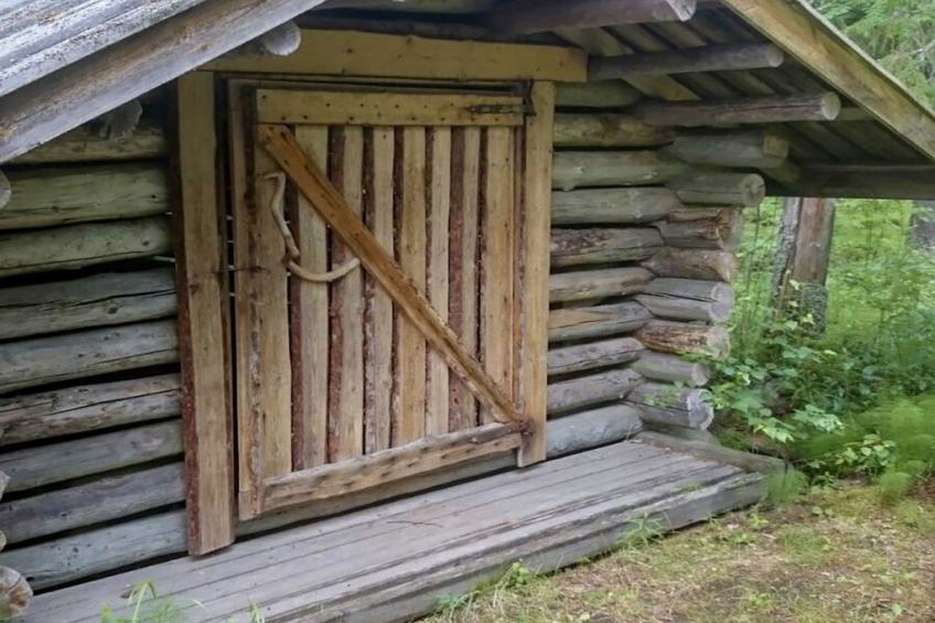 Metsä-pihlaja - foto 27