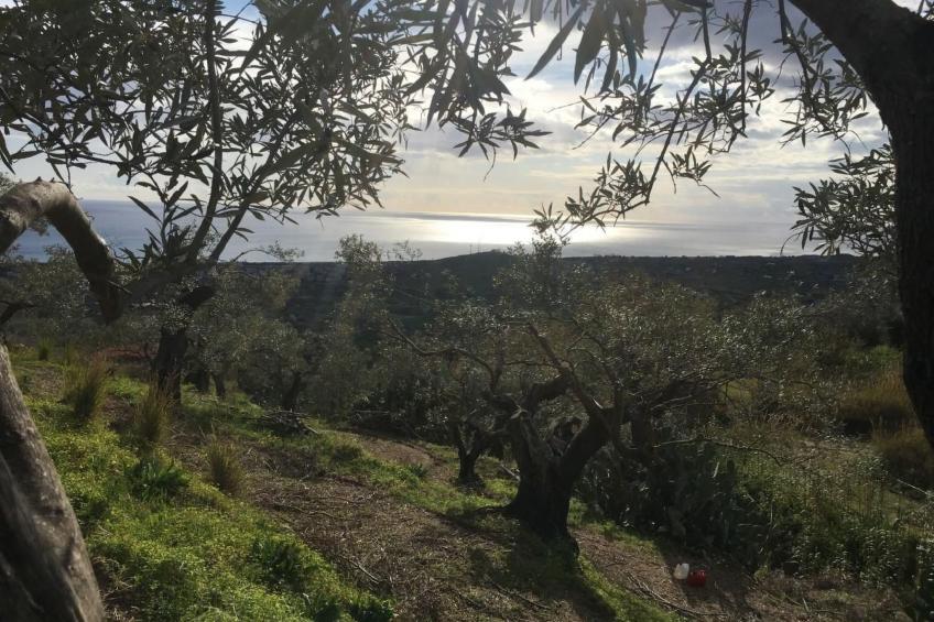 Großes Studio mit Terrasse mit Meerblick - foto 39