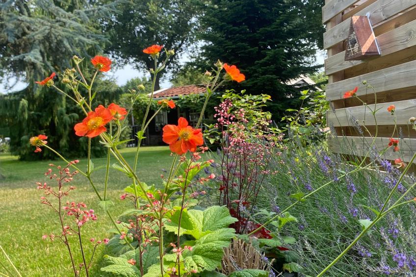 De Groninger Zeeuw - foto 52