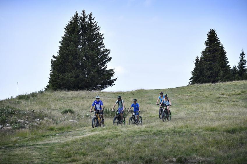 Chartreuse 1 039-FAMILLE & MONTAGNE appart. 6 pers - foto 5