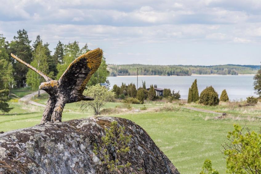 Villa pääsky - foto 36