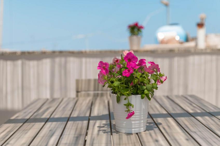 Dimora Terracielo - historisches Zentrum, nur wenige Schritte vom Meer entfernt - foto 20