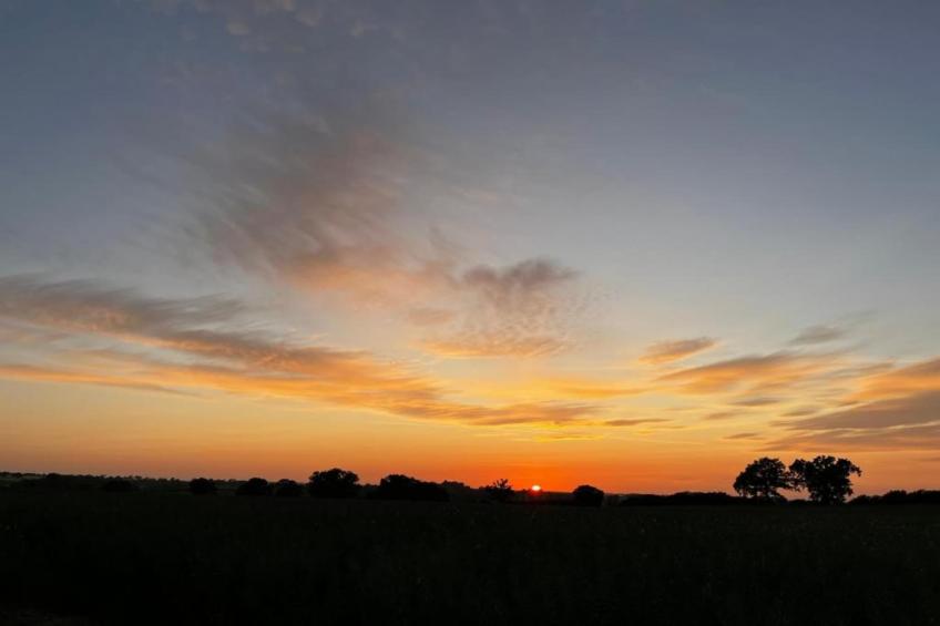 Ferienhaus Hohenkirchen - foto 39
