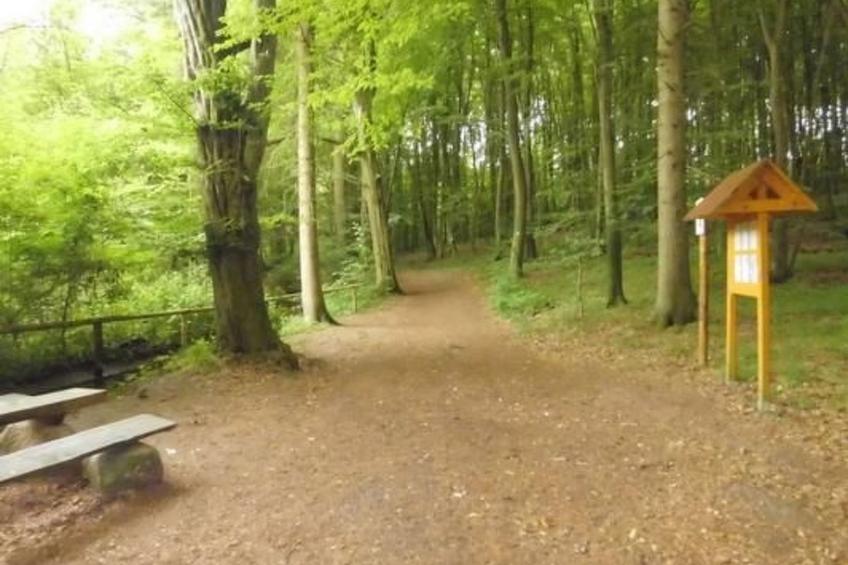 Turmwohnung - foto 14