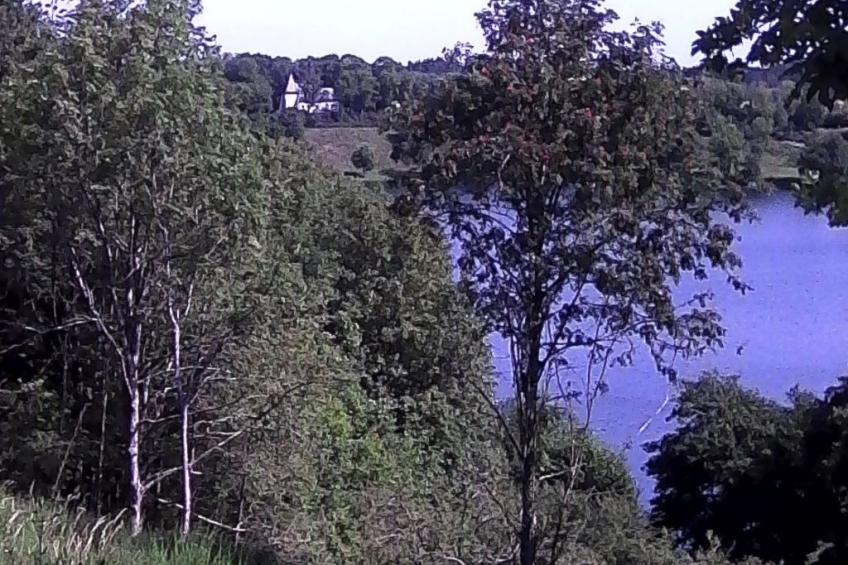 Elztalblick - foto 37