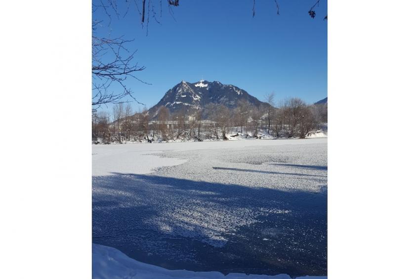 181270 - foto 26