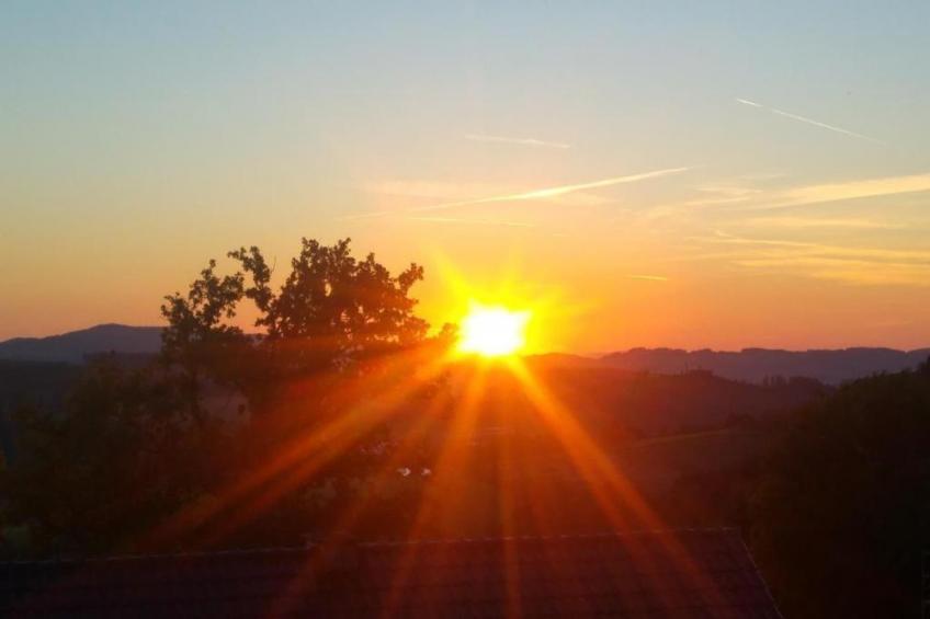 La Pouzaque - foto 38