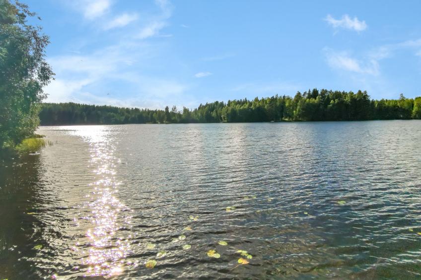 Heituinlahti, mäntyniemi - foto 15