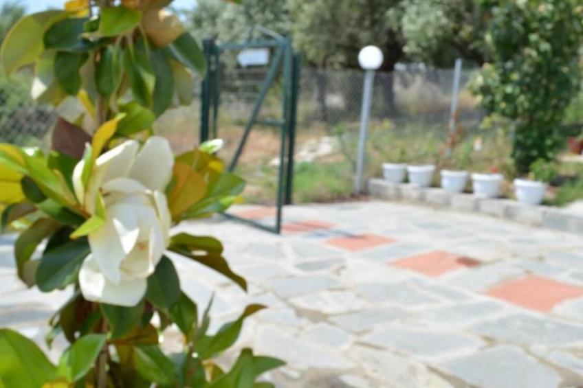 "Villa siesta" in Strandnähe - foto 50