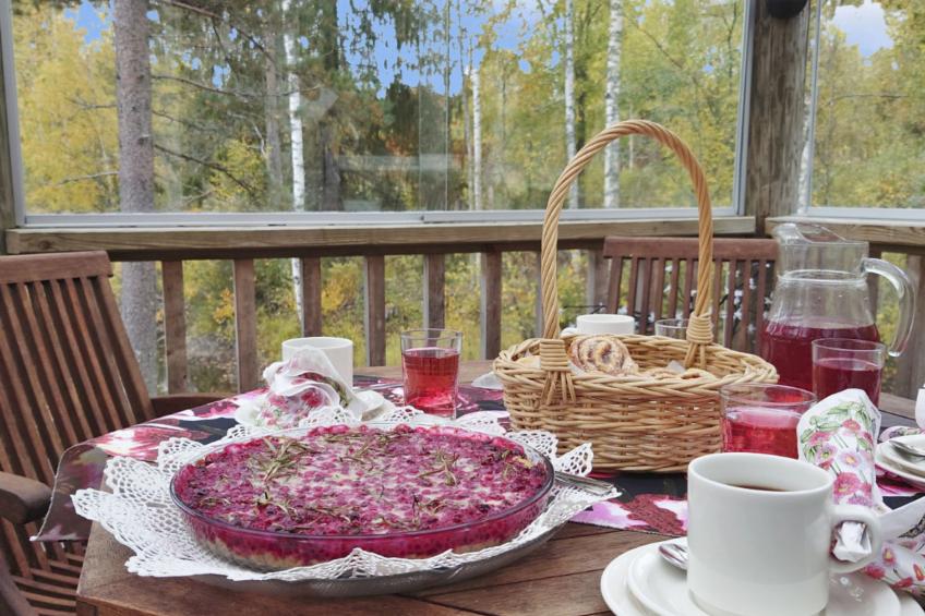 Lahdenpohja, vaikon loma ja lohi - foto 4