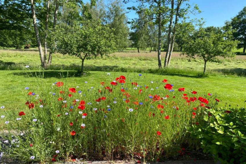 Acker Lodges 2 - foto 37