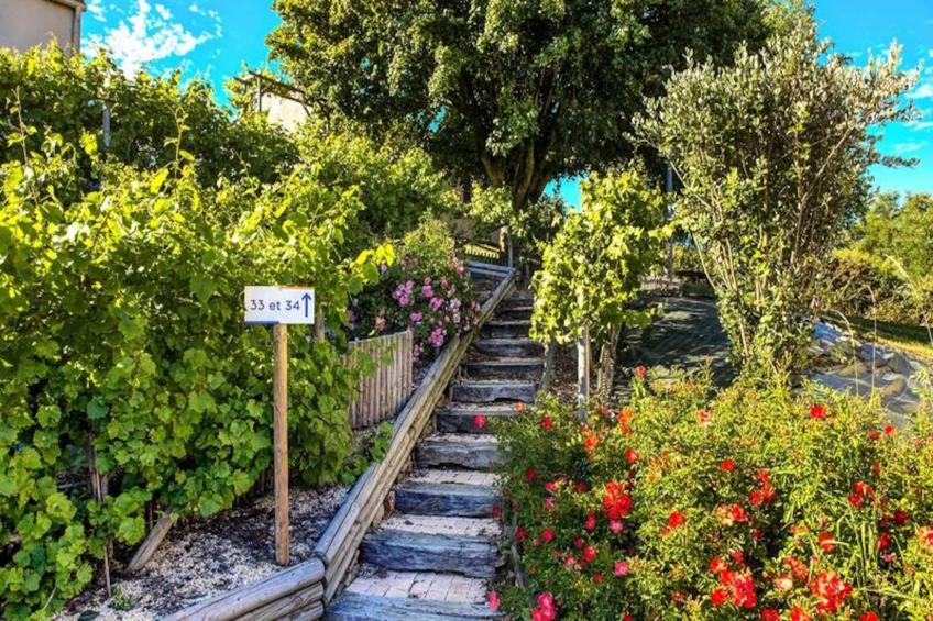 Olydéa - Résidence Les Hameaux des Epesses - foto 4