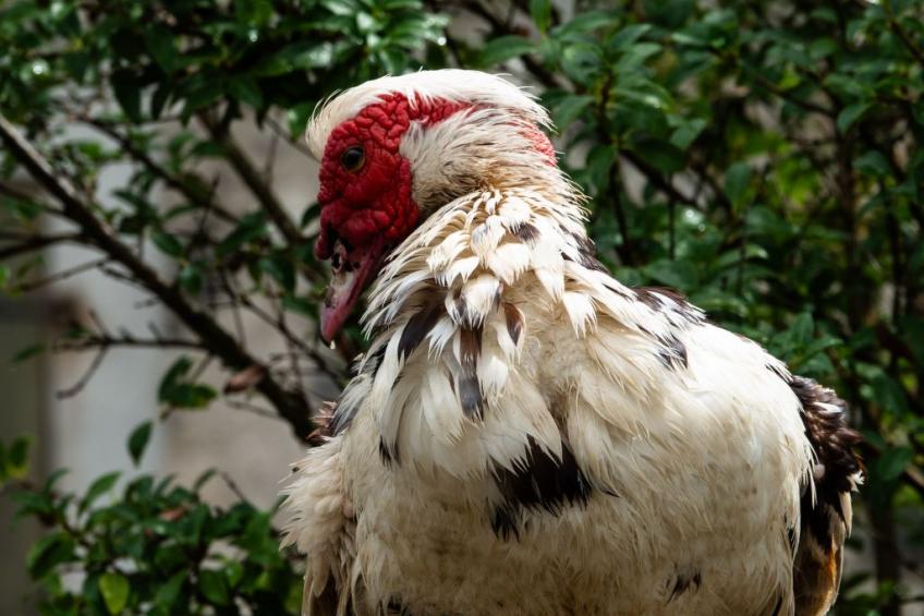 Suite Empire - foto 19