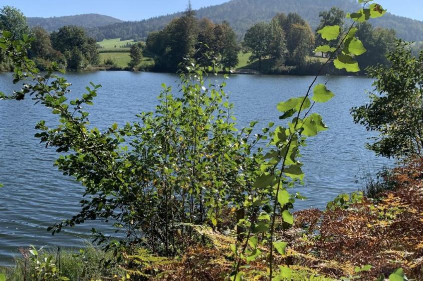 Gemütliche Ferienwohnung mit gemeinsamem Pool - foto 37