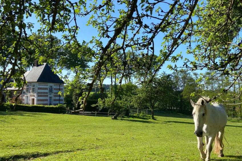 Normannisches Ferienhaus mit Charme les châtaigniers 1 Zimmer - foto 27