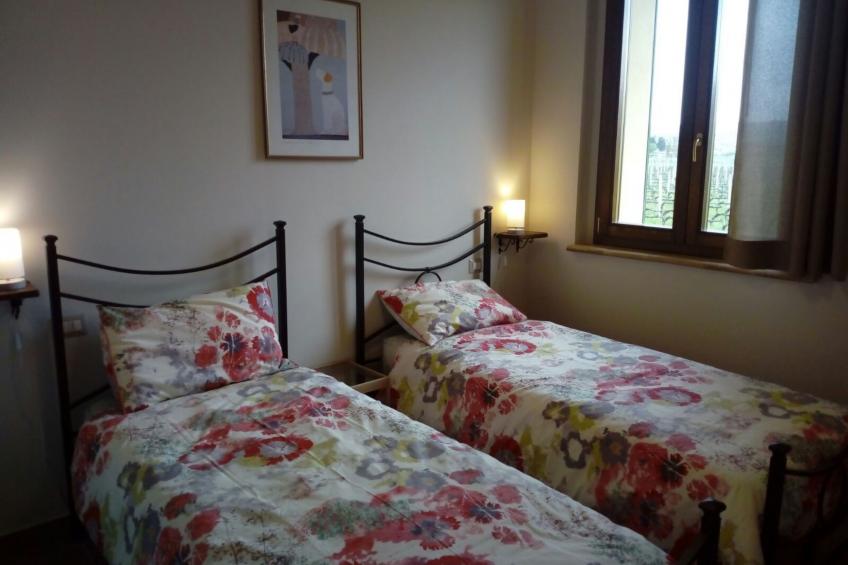 In den Weinberg eingetaucht - foto 6