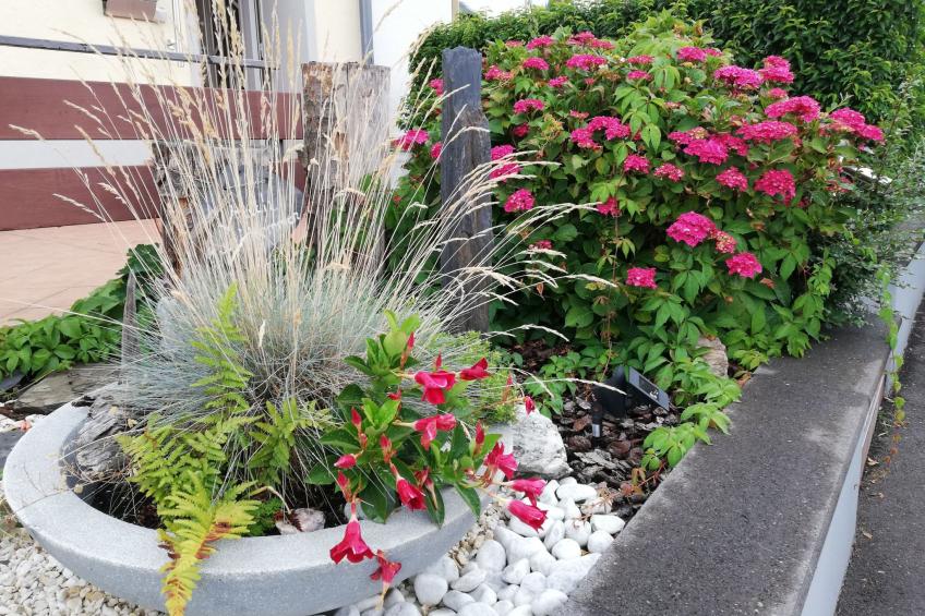 Geräumiges Ferienhaus in Holzerath mit Garten - foto 4