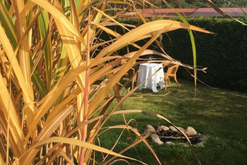 Bungalow Mecklenburgische Seenplatte - foto 21