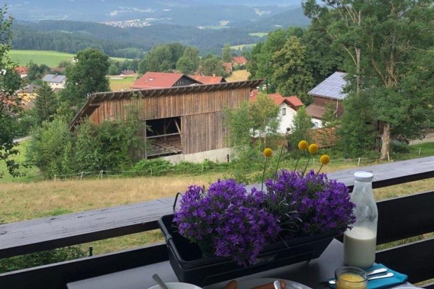 Gesamte Wohnung in Böbrach mit Garten und Grill - foto 7