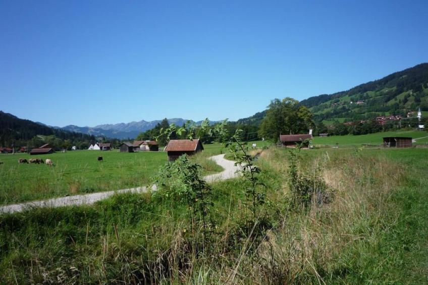 87479 - foto 18