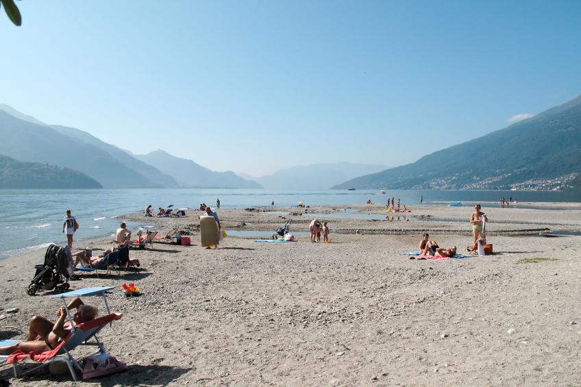 Gentile - foto 19