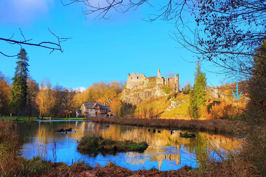 Gite de Montaigle - foto 43