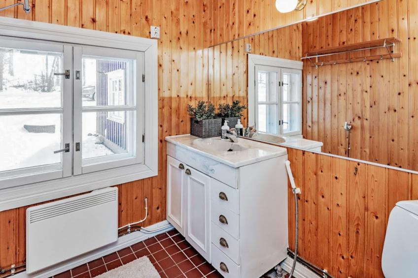 Punatulkku, seeteri - foto 62