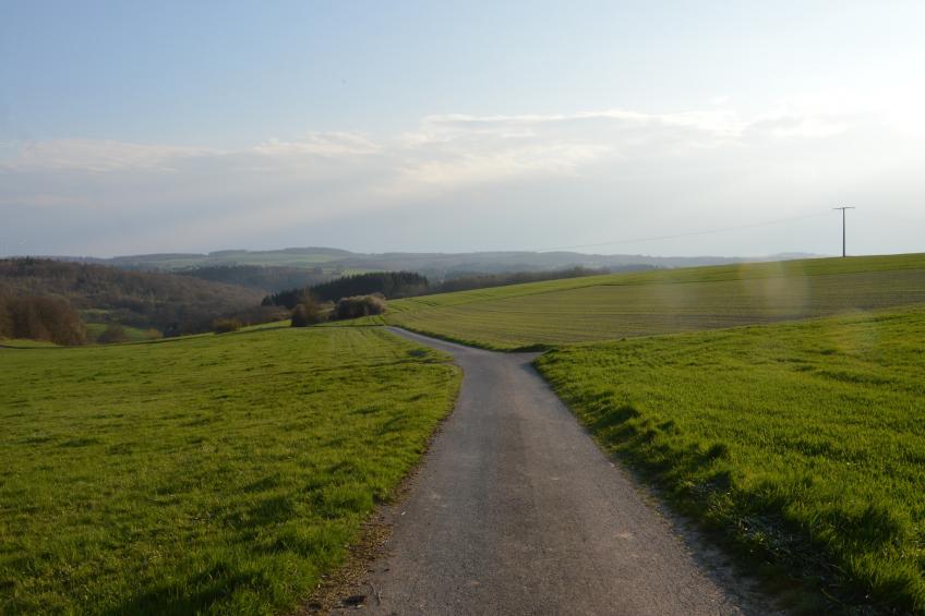 Petryhof - foto 37