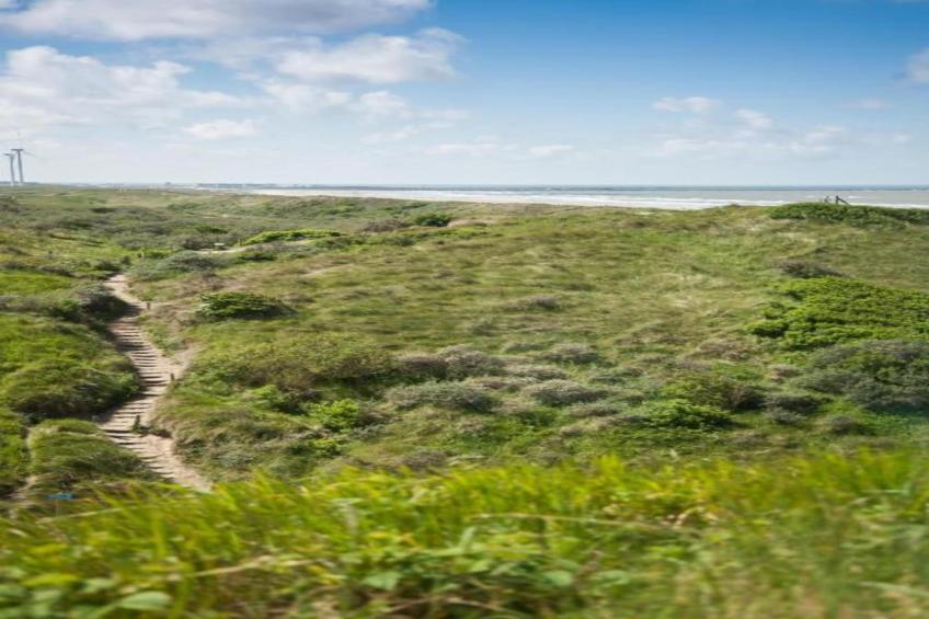 Resort Beach Houses Wijk aan Zee 3 - foto 27