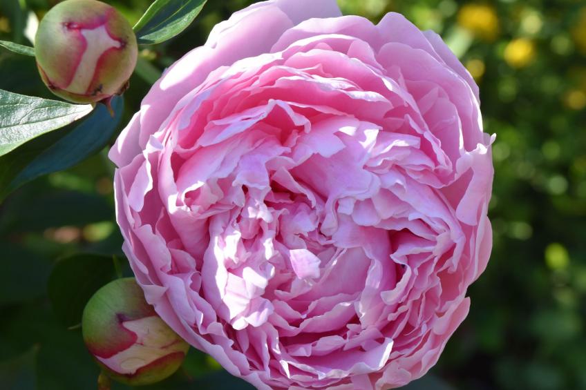 "Haus in der Einöde" - foto 9