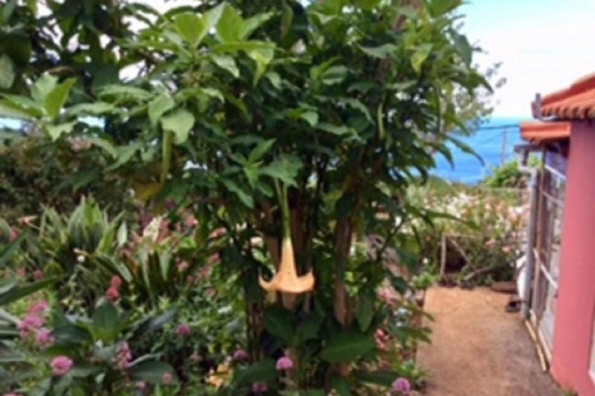 Klein-Norwegen - foto 18