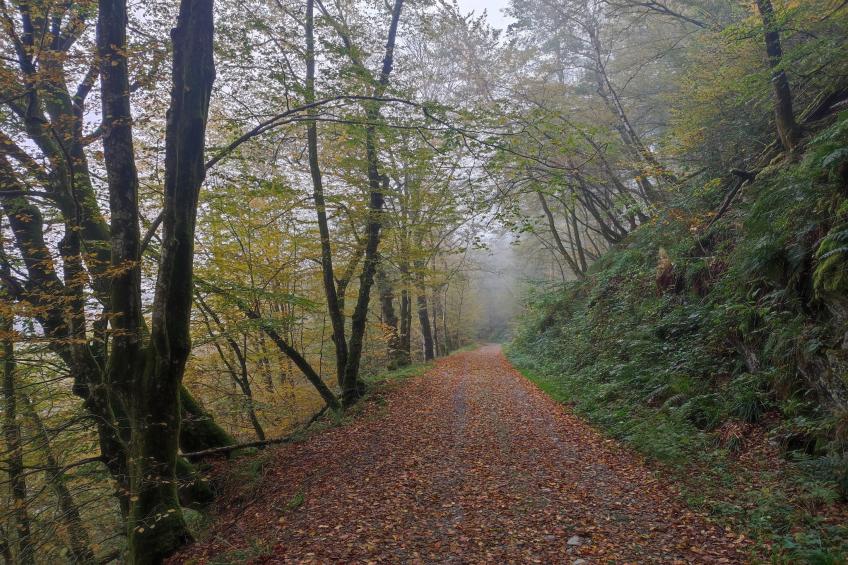 Au Coeur d'Alle Single Room - foto 28