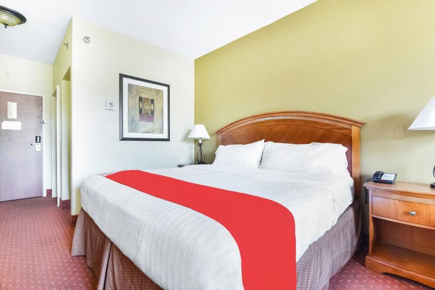 1 Bedroom Suite - foto 14