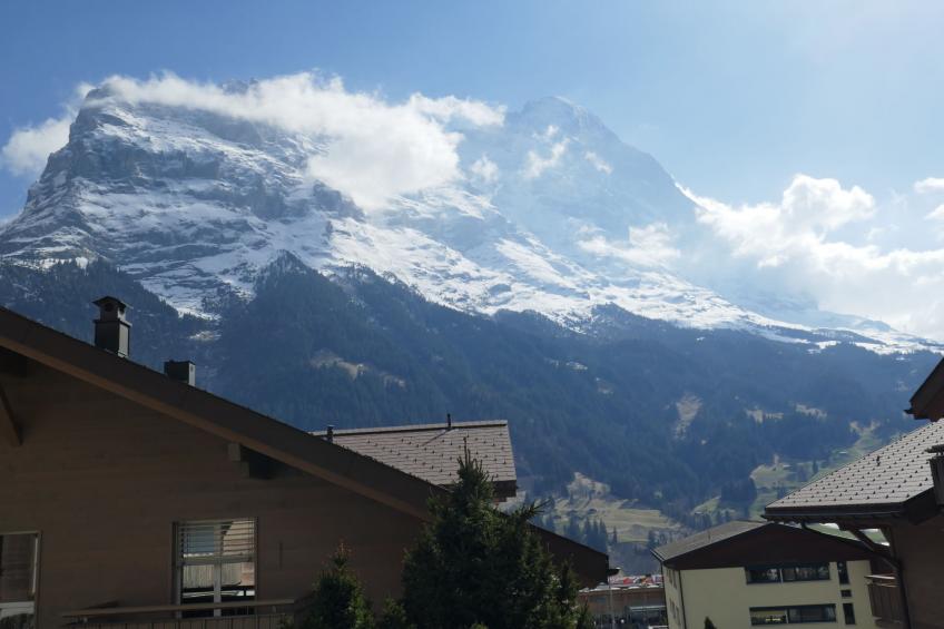 Résidence Sans Souci - foto 5