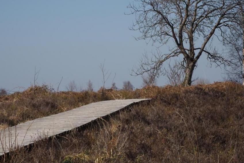 Exklusives Ferienhaus mit Terrasse und Garten - foto 27