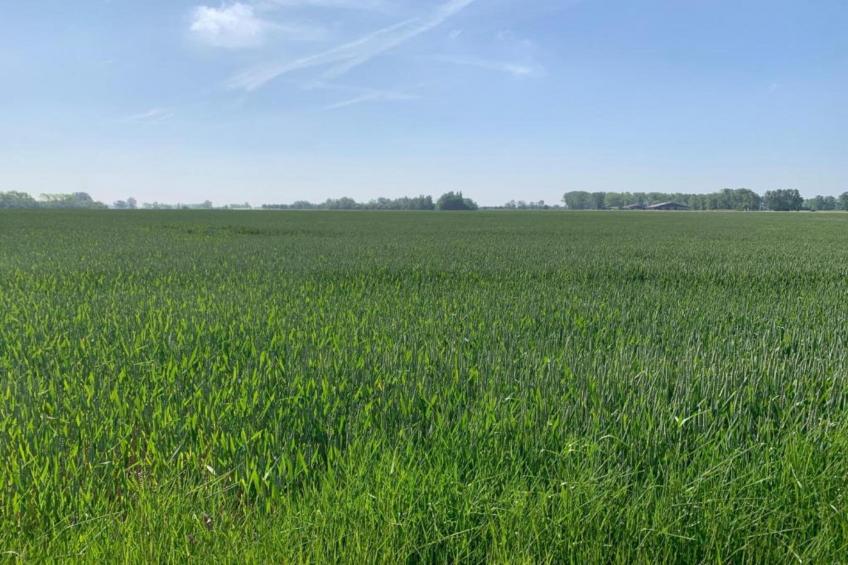 SCORPIO BI - foto 26