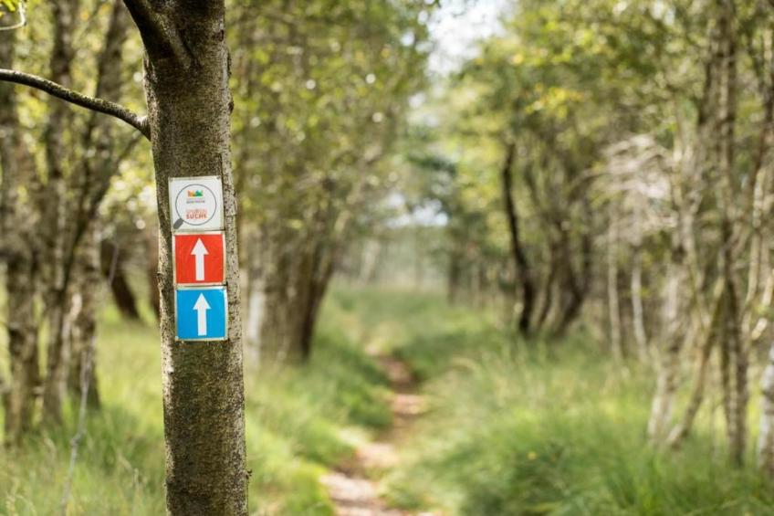 Ferienresort Bad Bentheim - foto 32