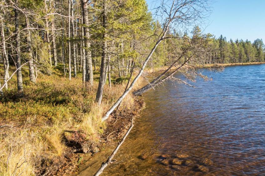 Putilanranta - foto 25