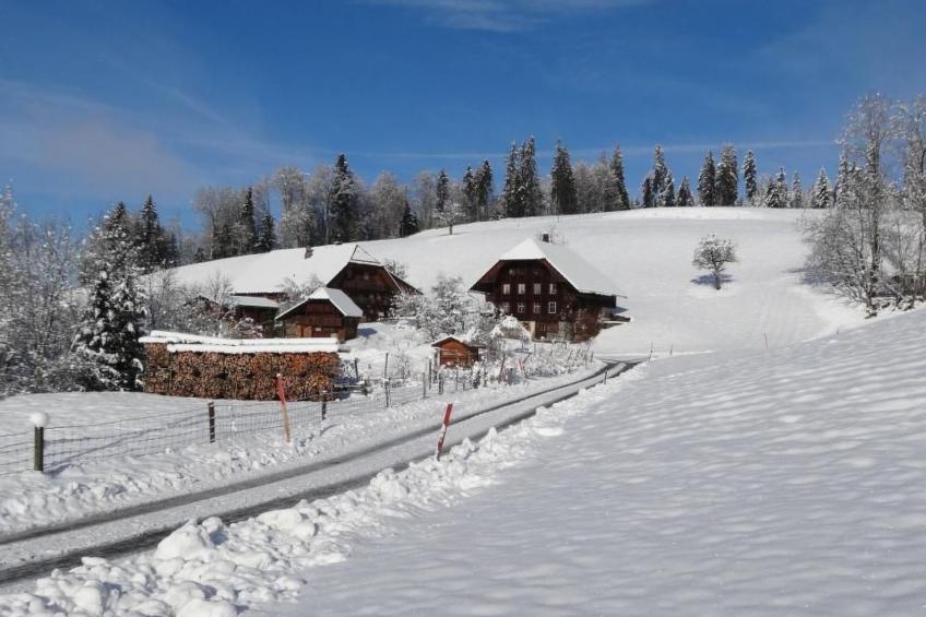 Bauernhof Gerber - foto 32