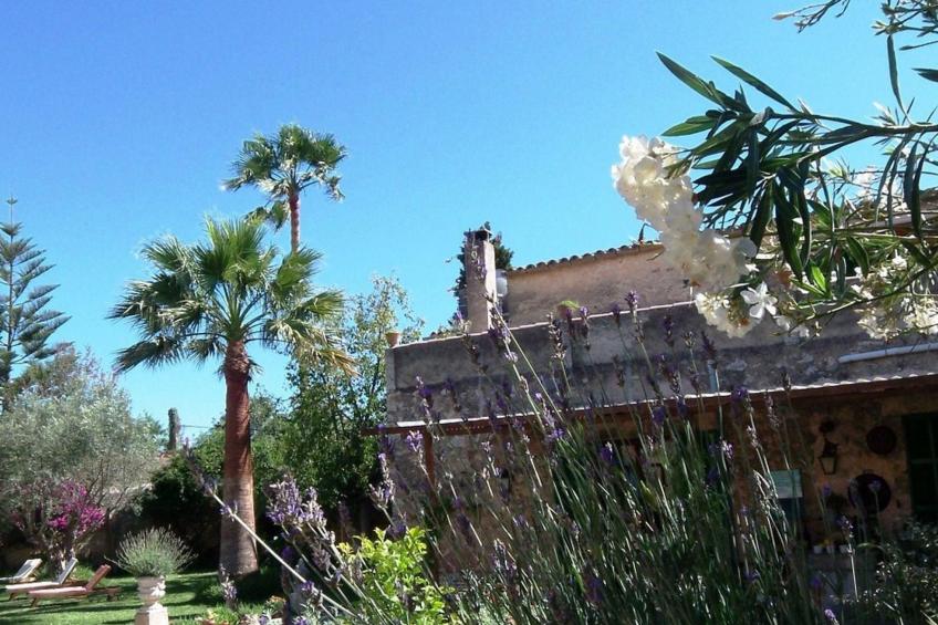 Can Mavi 02 - foto 25